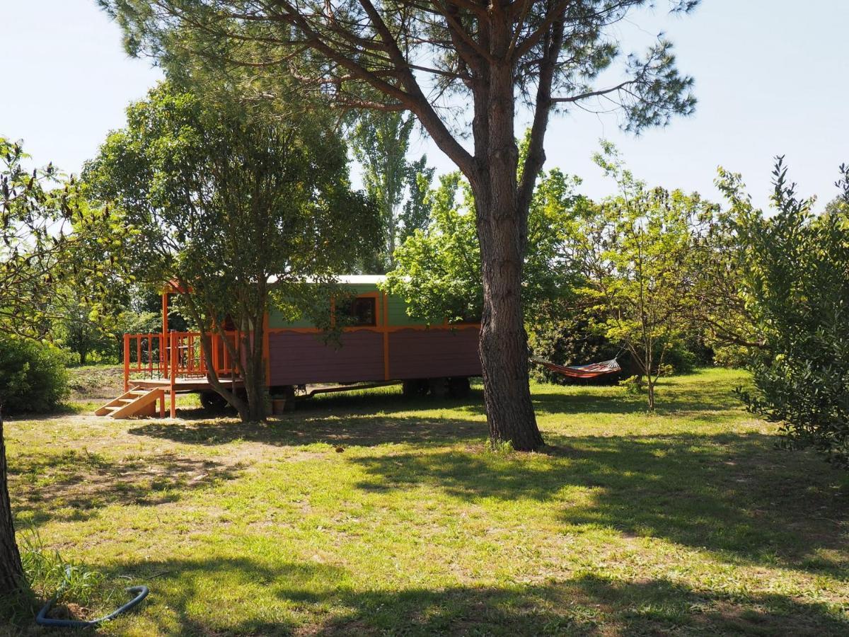 Les Gites Du Domaine De Rhodes Aviñón Habitación foto