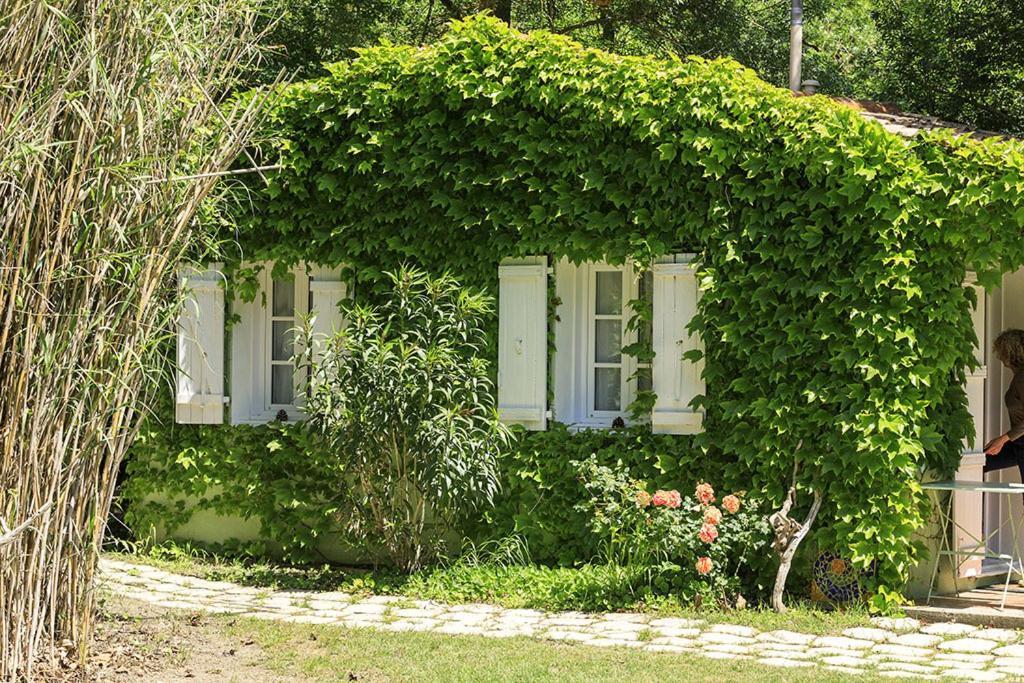 Les Gites Du Domaine De Rhodes Aviñón Habitación foto